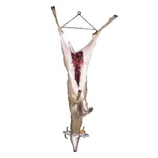 hunting deer hoist